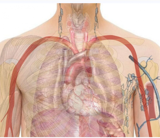 Rani znakovi srčanih problema: 6 simptoma koje ne treba ignorisati