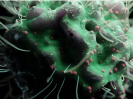 „Šta uzrokuje svrab na različitim dijelovima tijela: kada je bezopasan, a kada potražiti savjet ljekara“