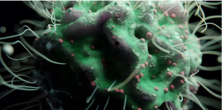 „Šta uzrokuje svrab na različitim dijelovima tijela: kada je bezopasan, a kada potražiti savjet ljekara“