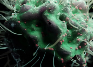 „Šta uzrokuje svrab na različitim dijelovima tijela: kada je bezopasan, a kada potražiti savjet ljekara“