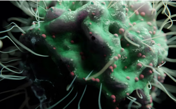 „Šta uzrokuje svrab na različitim dijelovima tijela: kada je bezopasan, a kada potražiti savjet ljekara“