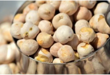 IZBACILI SMO JE IZ UPOTREBE, a samo jedna šaka je u stanju da oporavi cio organizam: Izbacuje toksine,snižava holesterol,pomaže u mršavljenju!