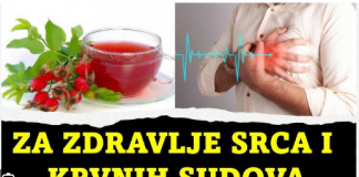 Glog – Prirodni Lijek za Srce i Zaštitu Organizma