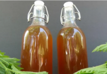 ULJE OD MLADE KOPRIVE: Evo kako ga spremiti i za što je sve izvrsno kao lijek…