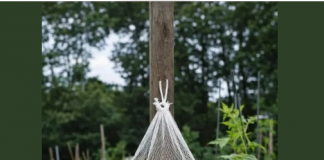 Ne Bacajte Ljuske od Jaja! Obesite ih u Bašti – Razlog će vas iznenaditi!