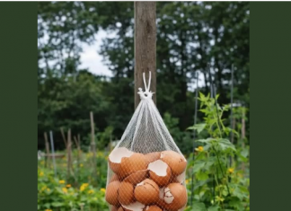 Ne Bacajte Ljuske od Jaja! Obesite ih u Bašti – Razlog će vas iznenaditi!