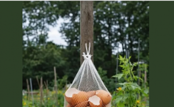 Ne Bacajte Ljuske od Jaja! Obesite ih u Bašti – Razlog će vas iznenaditi!