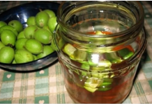 Recept za JAČANJE IMUNITETA CIJEL0G 0RGANIZMA: Mladi zeleni 0RASI I MED