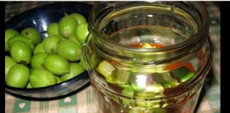 Recept za JAČANJE IMUNITETA CIJEL0G 0RGANIZMA: Mladi zeleni 0RASI I MED