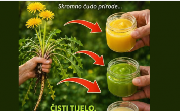 Maslačak – skromna biljka sa izuzetnim zdravstvenim prednostima