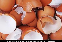 NIKAKO NE BACAJTE LJUSKE OD JAJA, POSLUŽIĆE VAM ZA VAŽNU STVAR: NE POSTOJI BOLJE ĐUBRIVO ZA BILJKE, ODUŠEVIĆETE SE NIKAKO NE BACAJTE LJUSKE OD JAJA, POSLUŽIĆE VAM ZA VAŽNU STVAR: NE POSTOJI BOLJE ĐUBRIVO ZA BILJKE, ODUŠEVIĆETE SE - featured image