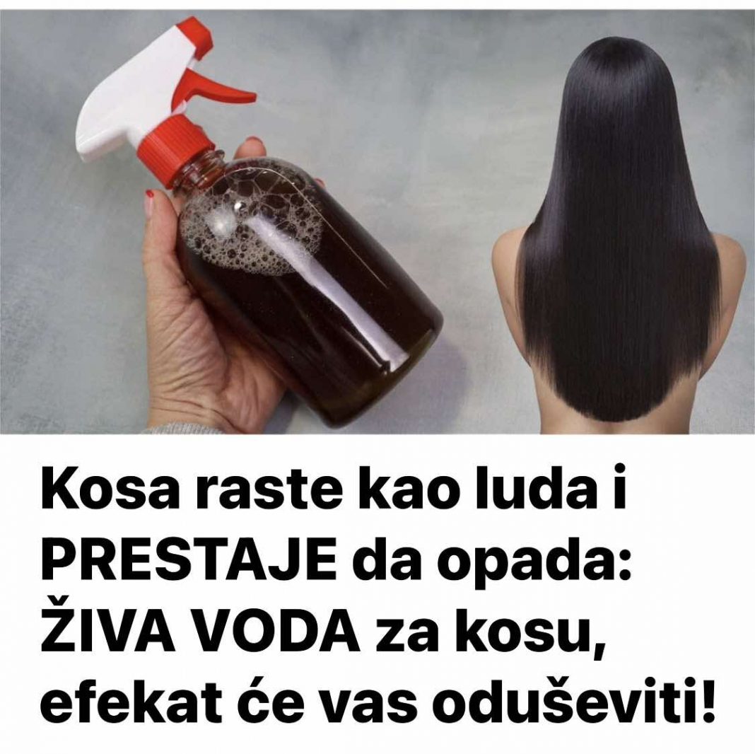 Kosa raste kao luda i PRESTAJE da opada: ŽIVA VODA za kosu, efekat će vas oduševiti! - featured image