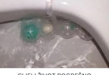 CIJELI ŽIVOT POGREŠNO STAVLJAMO OSVJEŽIVAČ U WC ŠOLJU: Kako se ove metode ranije nismo sjetili? CIJELI ŽIVOT POGREŠNO STAVLJAMO OSVJEŽIVAČ U WC ŠOLJU: Kako se ove metode ranije nismo sjetili? - content image