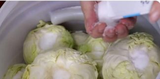 Koliko soli ide na 10 litara vode za kiseli kupus? Samo ovo je prava količina Koliko soli ide na 10 litara vode za kiseli kupus? Samo ovo je prava količina - featured image