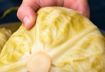 Ako pogriješite datum, sve vam može propasti: Evo kada se tačno kiseli kupus ove godine Ako pogriješite datum, sve vam može propasti: Evo kada se tačno kiseli kupus ove godine - content image