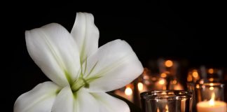 Kada član porodice premine: 8 tipova ljudi koje je ponekad bolje ne pozvati na sahranu Kada član porodice premine: 8 tipova ljudi koje je ponekad bolje ne pozvati na sahranu - featured image